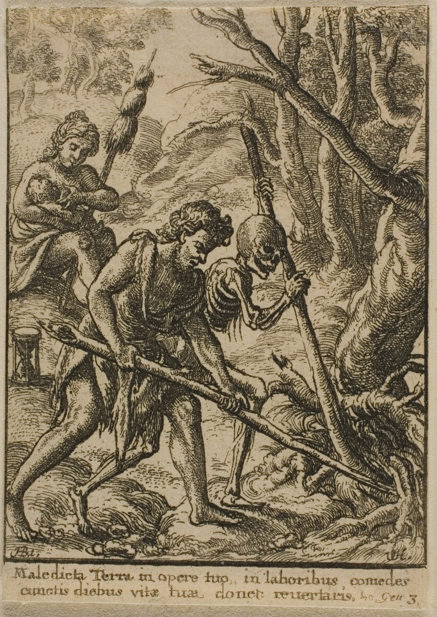 Adam Arando de Wenceslaus Hollar