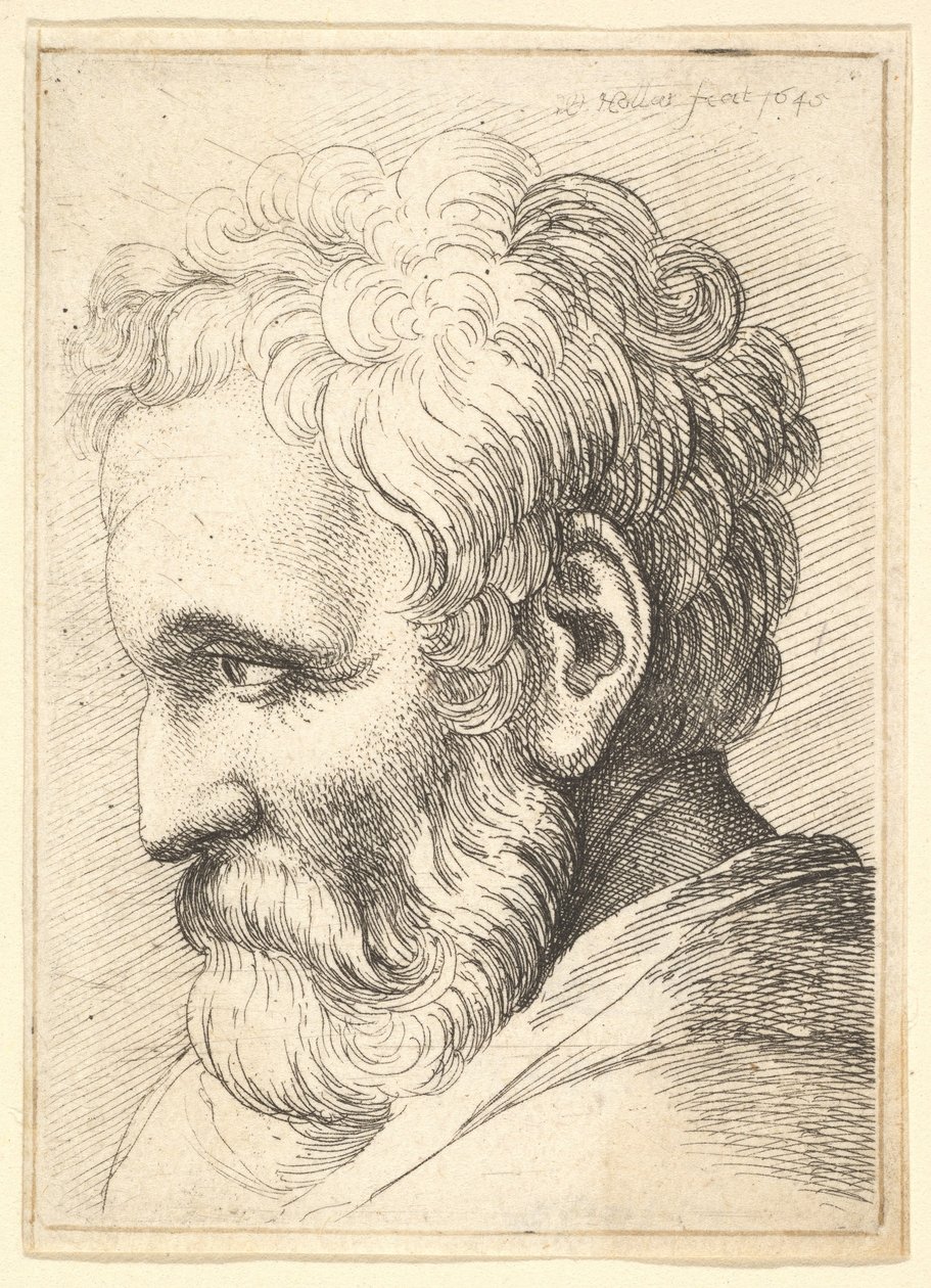 Ancião barbudo de Wenceslaus Hollar