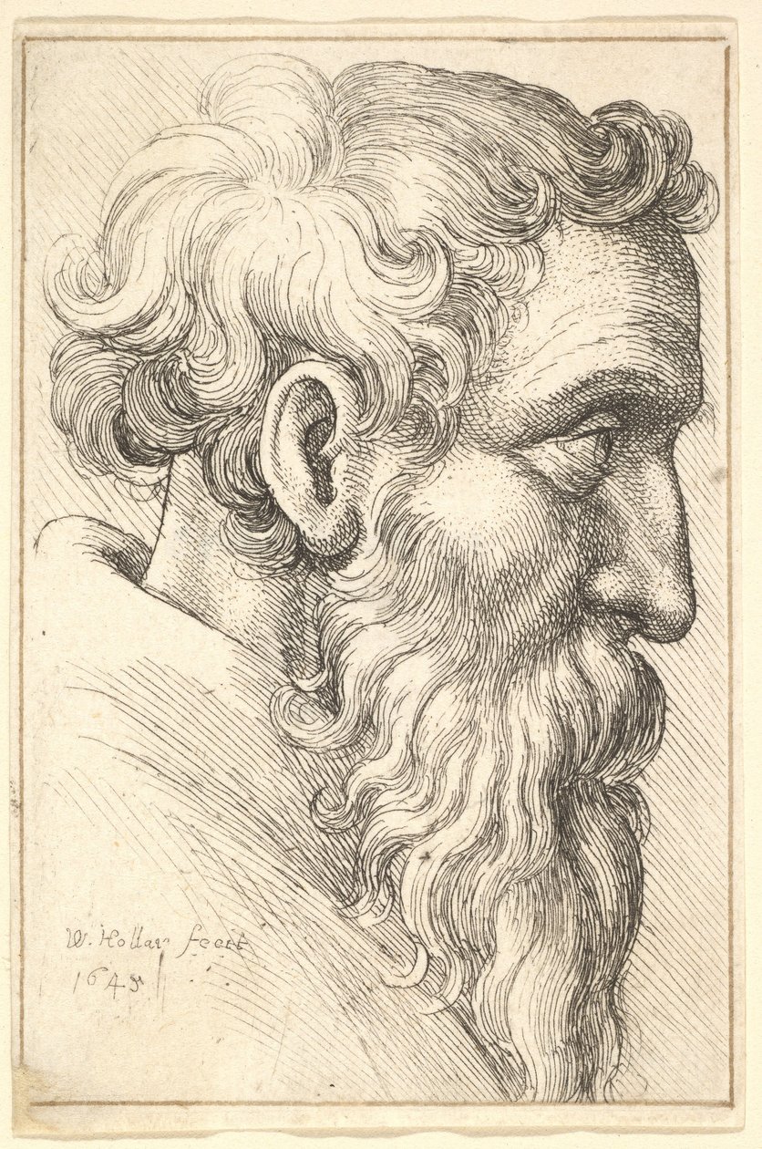 Velho barbudo de perfil para a direita de Wenceslaus Hollar