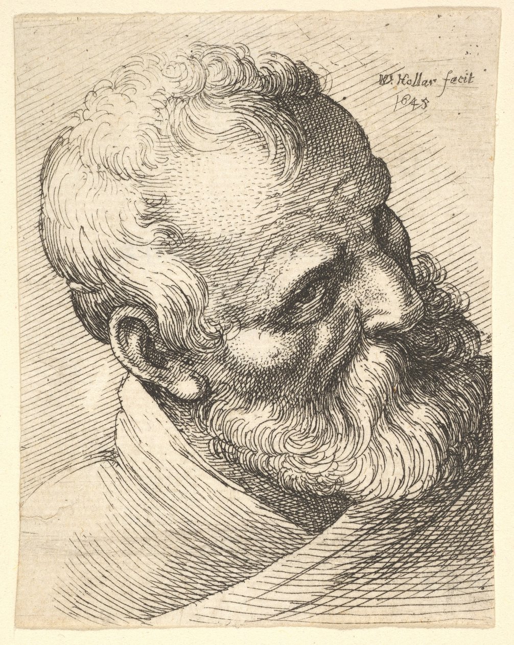 Velho barbudo com a cabeça inclinada, 1645. de Wenceslaus Hollar