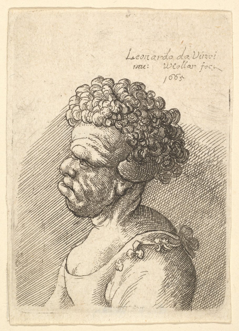 Busto de uma mulher deformada com cabelos cacheados de perfil à esquerda, 1665. de Wenceslaus Hollar
