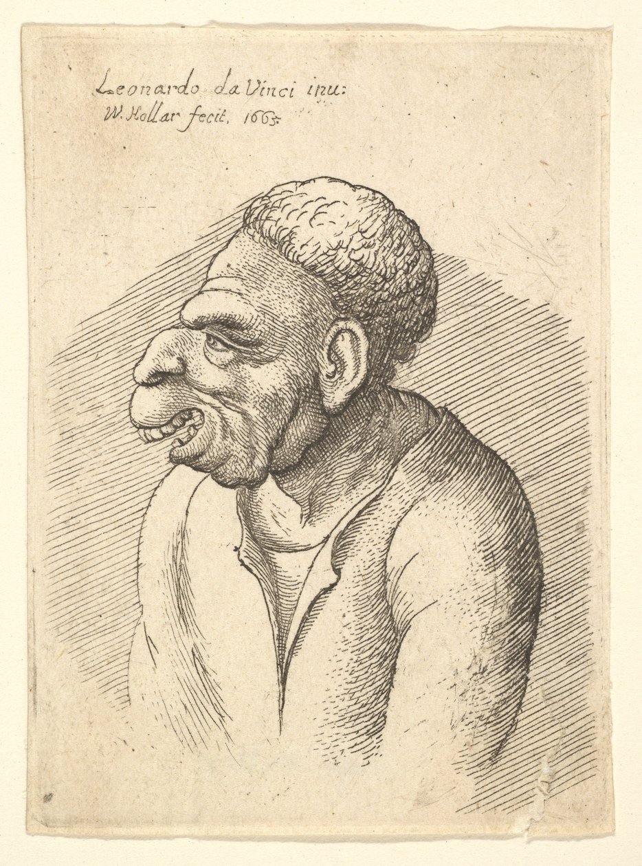 Busto de homem com nariz adunco, lábio superior proeminente, boca aberta e cabelo curto e encaracolado ..., 1665. de Wenceslaus Hollar