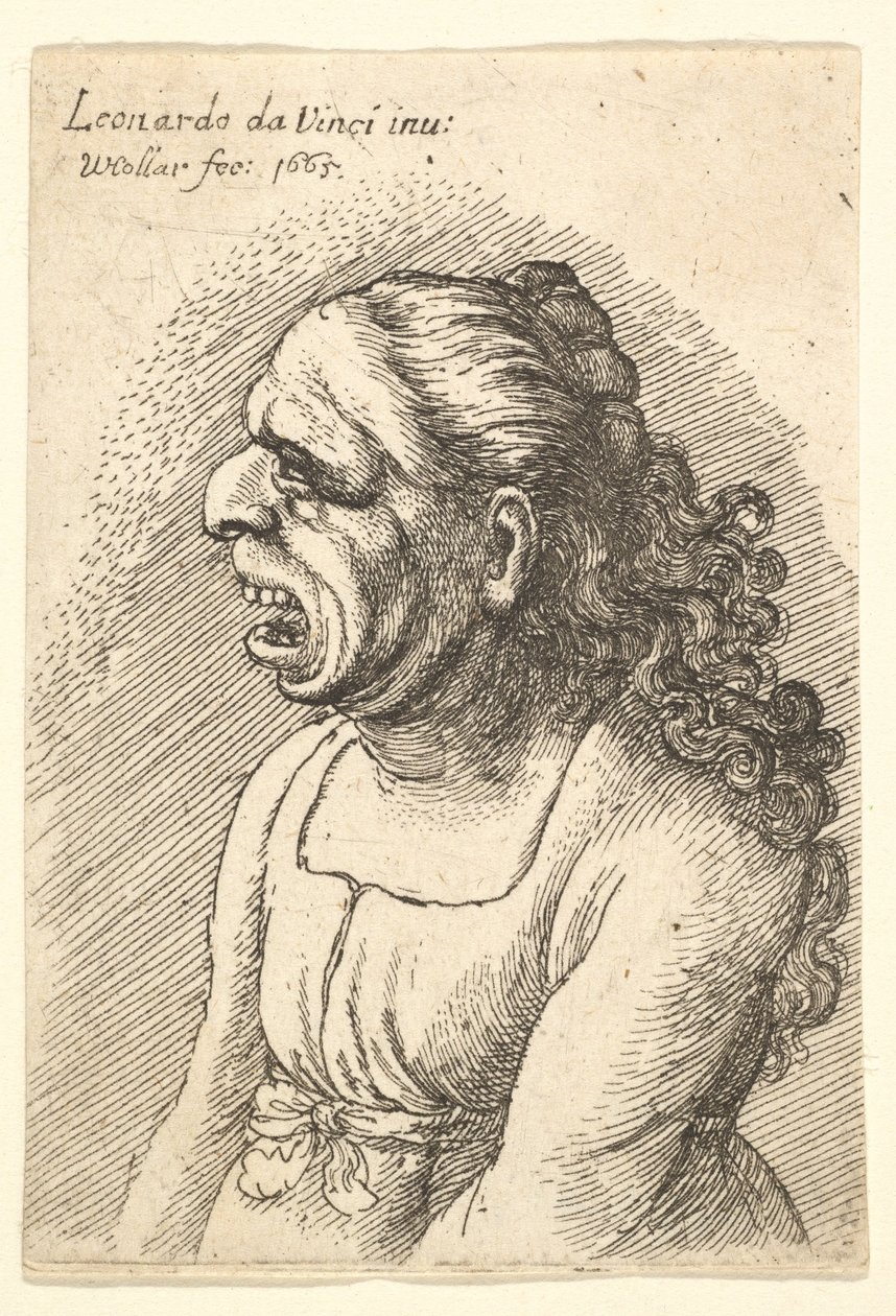 Busto de mulher com a boca aberta e longos cabelos encaracolados caindo sobre os ombros, vestindo ..., 1665. de Wenceslaus Hollar