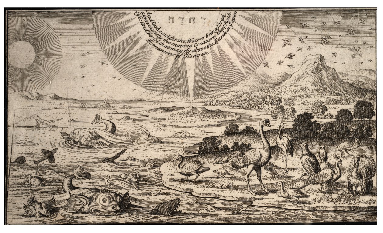 Criação de pássaros e peixes. Estado 1 de Wenceslaus Hollar