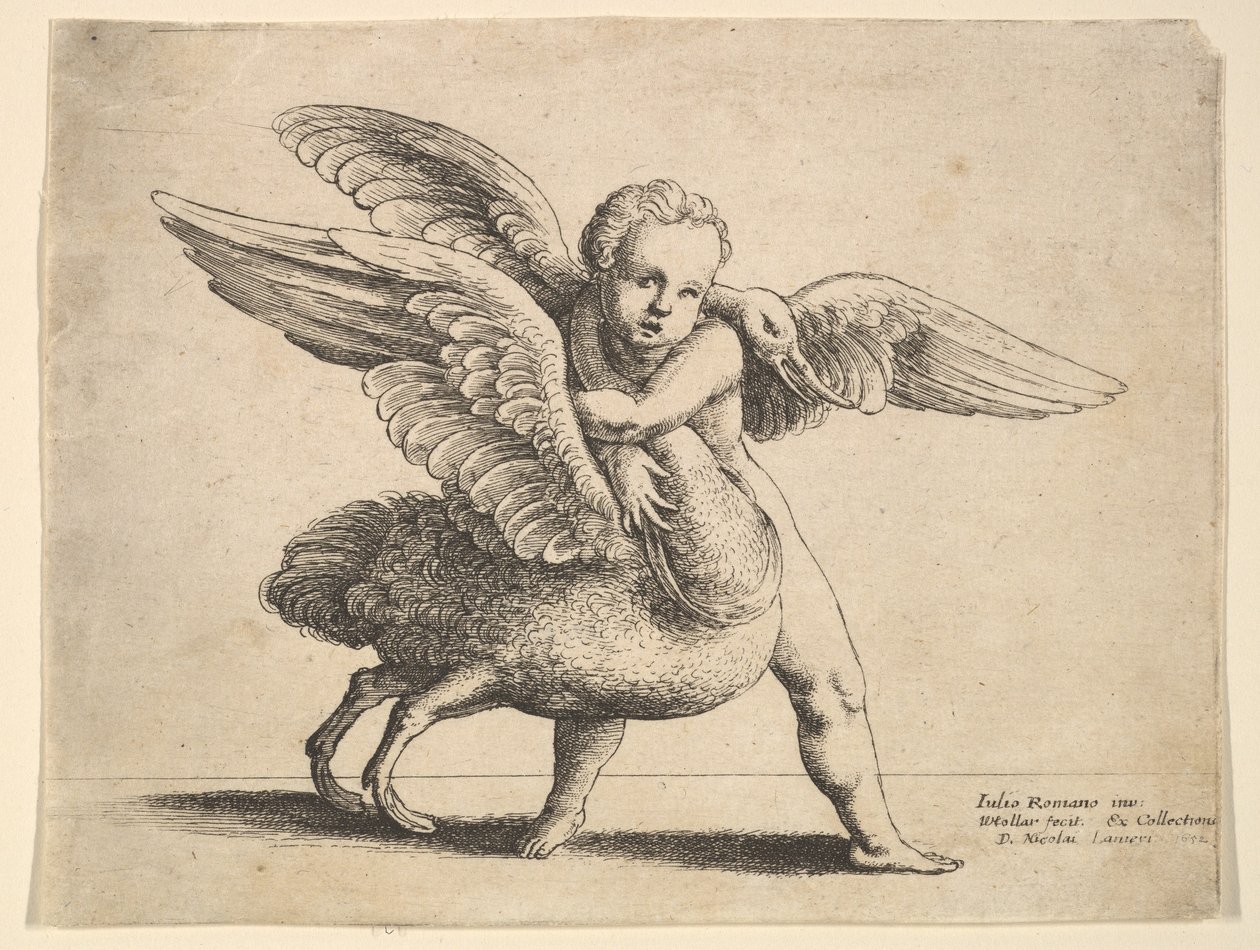 Cupido e o cisne, 1652. de Wenceslaus Hollar