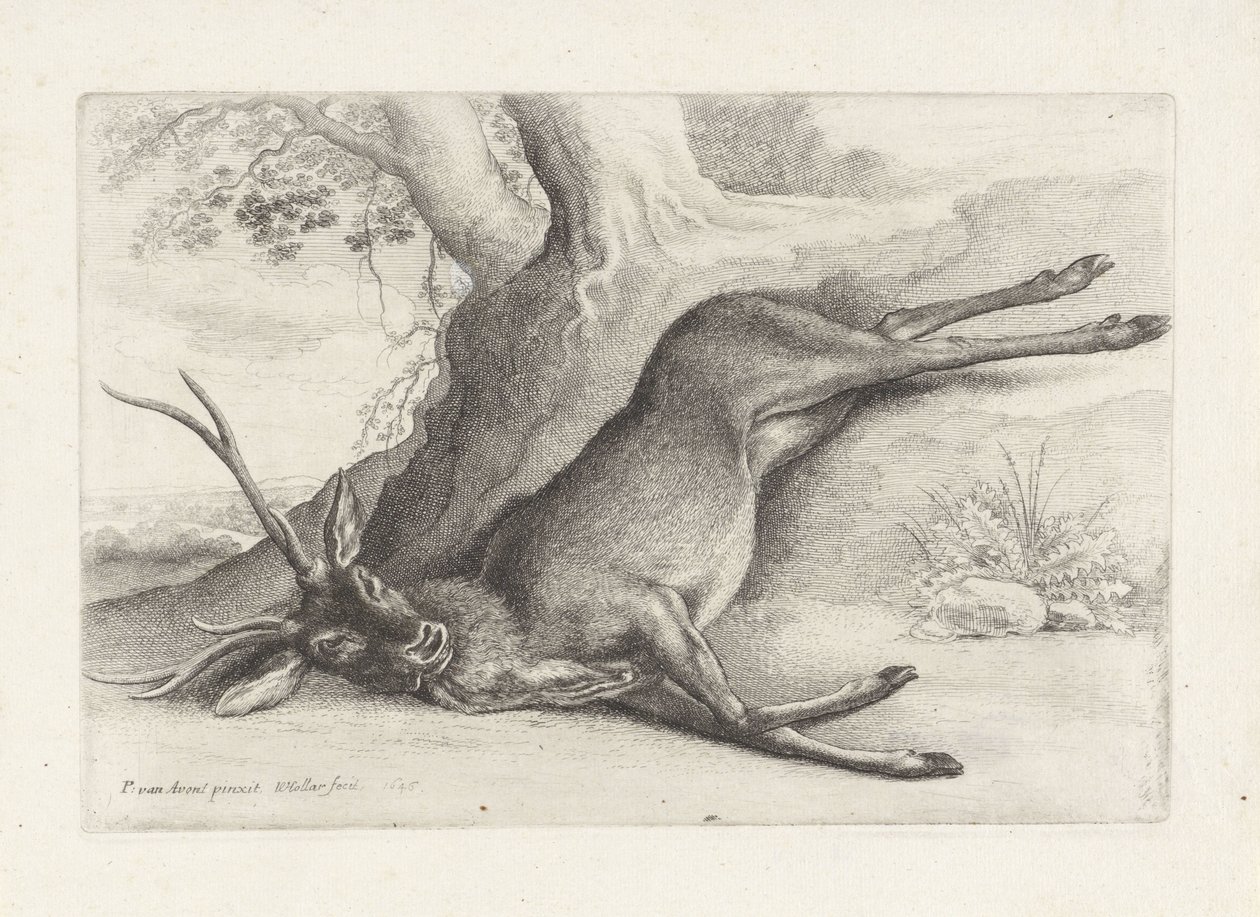 Veado morto a tiro
Caça, cães de caça e caça (título da série) de Wenceslaus Hollar