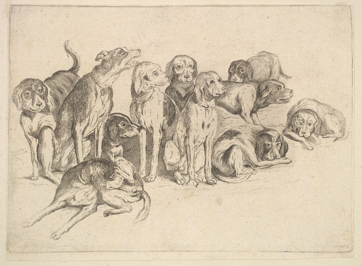 Onze cães, 1625-77. de Wenceslaus Hollar