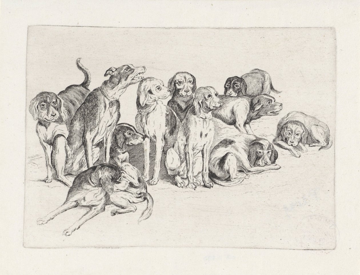 Onze cães de caça de Wenceslaus Hollar