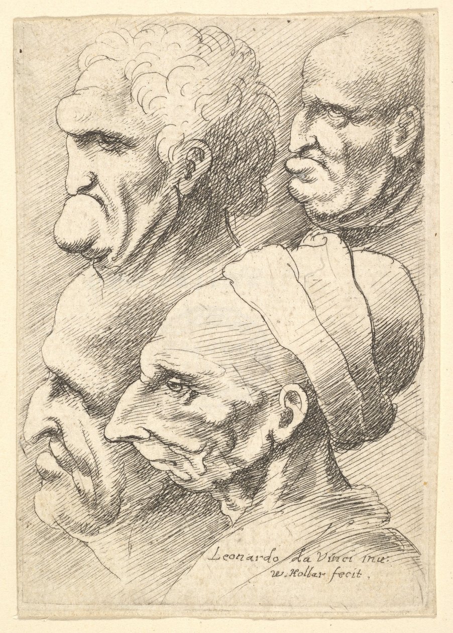 Quatro cabeças grotescas no perfil para a esquerda, 1625-77. de Wenceslaus Hollar