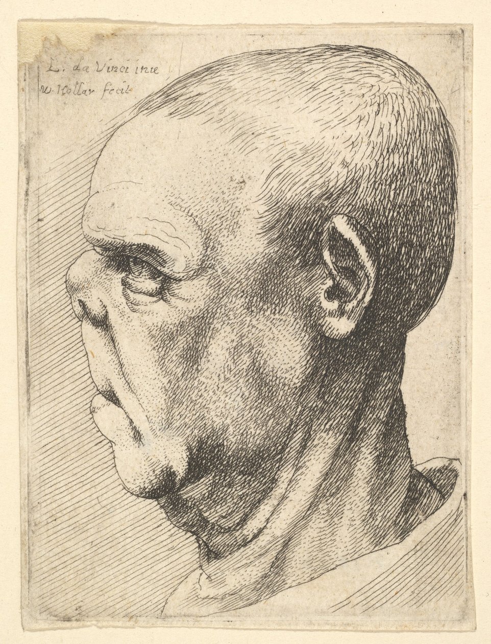 Velho grotesco com nariz achatado no perfil à esquerda, 1625-77. de Wenceslaus Hollar
