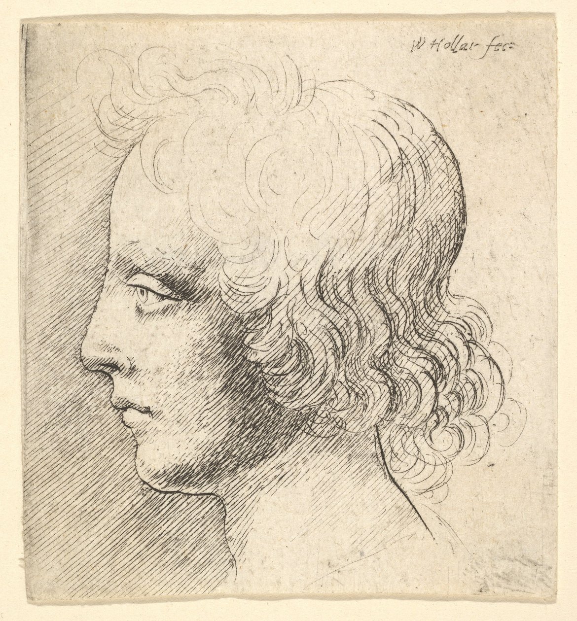 Cabeça de um jovem de Wenceslaus Hollar
