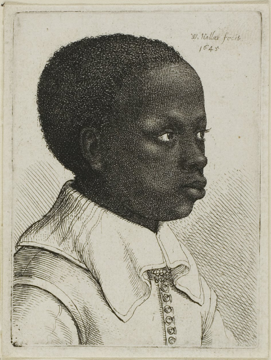 Cabeça de um jovem negro de perfil à direita de Wenceslaus Hollar