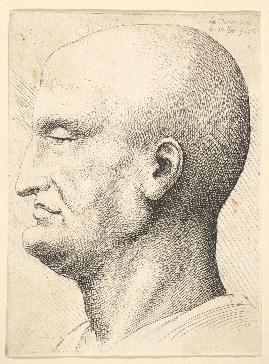 Cabeça de um homem careca de perfil à esquerda, 1644-52. de Wenceslaus Hollar