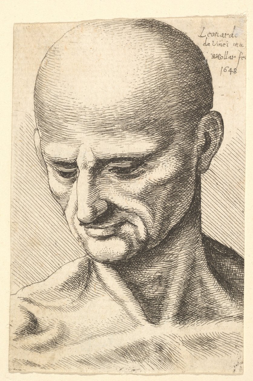 Cabeça de um homem careca e musculoso olhando para baixo, 1648. de Wenceslaus Hollar
