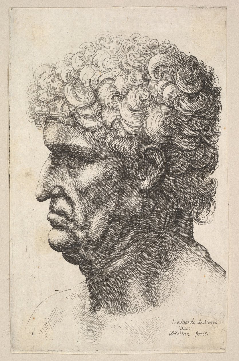 Cabeça de um homem com cabelos cacheados e grossos em perfil à esquerda, 1640-49. de Wenceslaus Hollar
