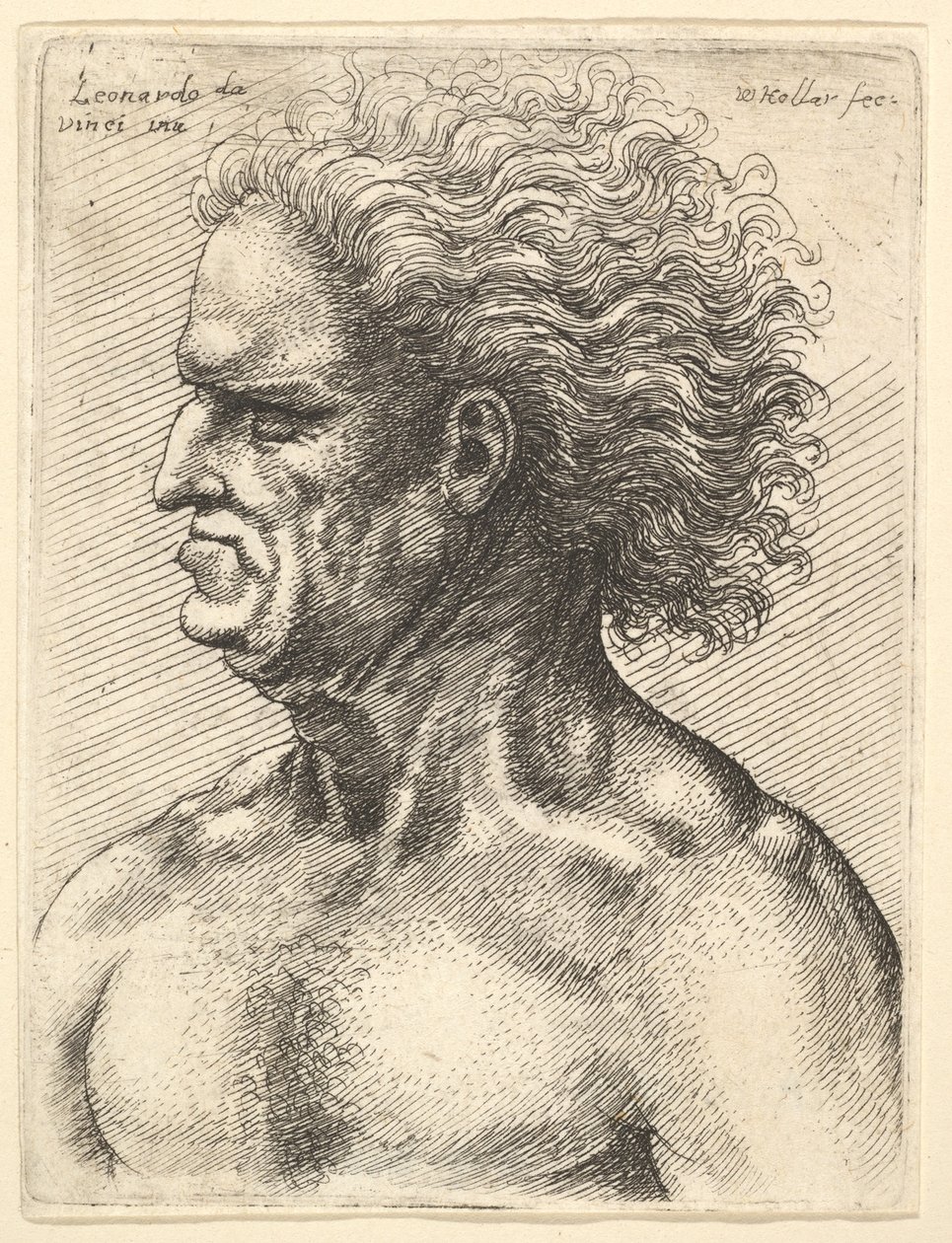 Cabeça de um homem musculoso de perfil à esquerda com cabelos soltos, 1625-77. de Wenceslaus Hollar