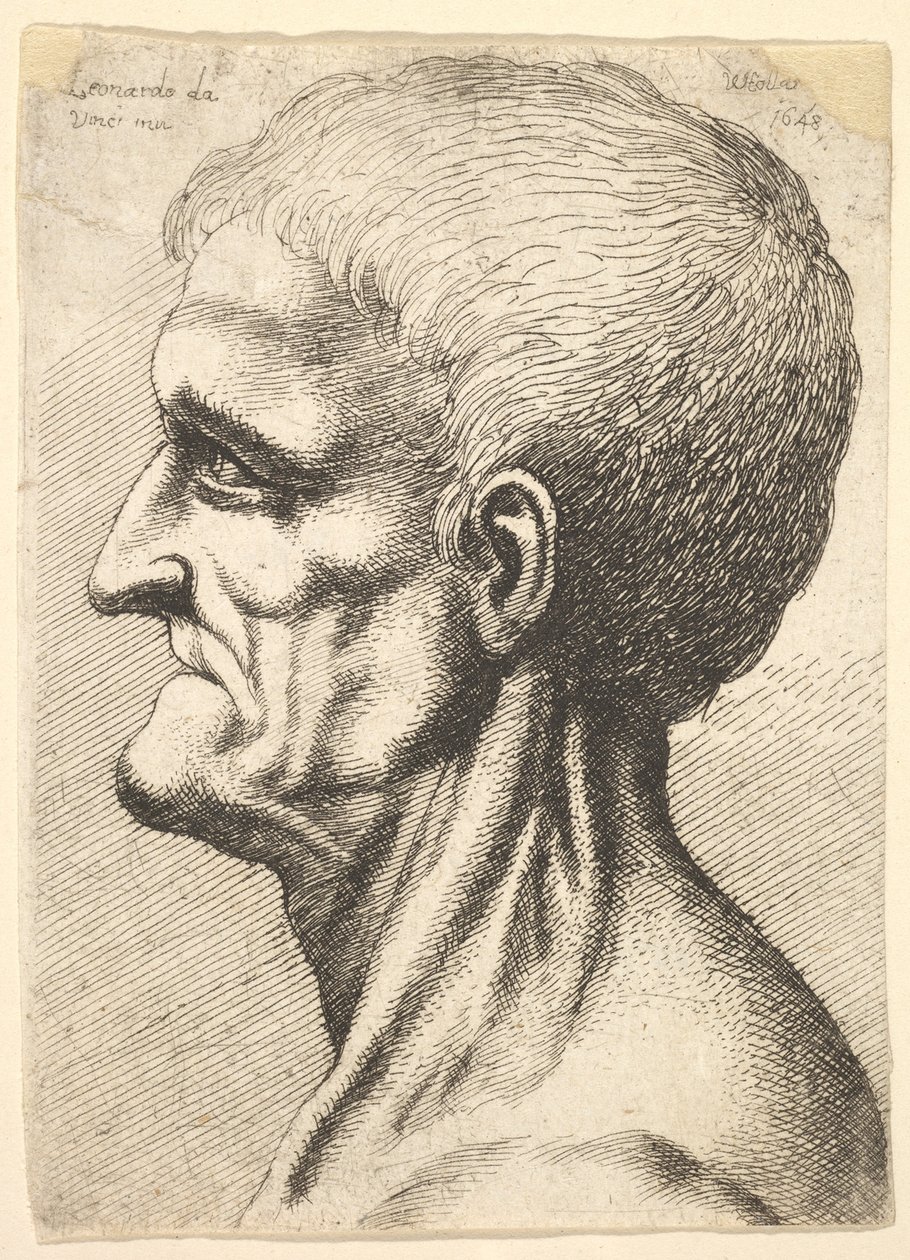 Cabeça de um homem desdentado, com o pescoço nu e musculoso de perfil para a esquerda, 1648. de Wenceslaus Hollar