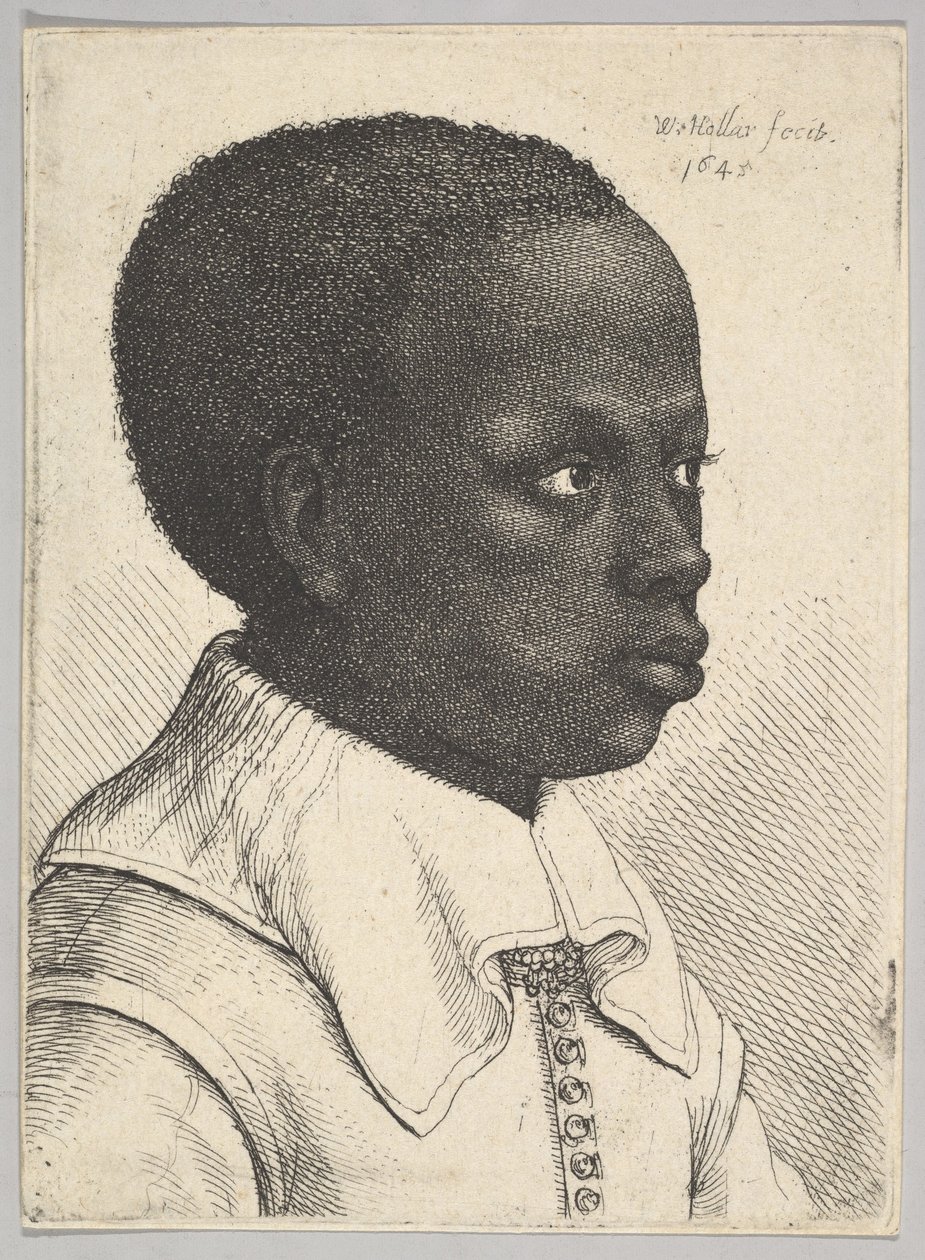 Cabeça de um jovem negro de perfil à direita, 1645. de Wenceslaus Hollar