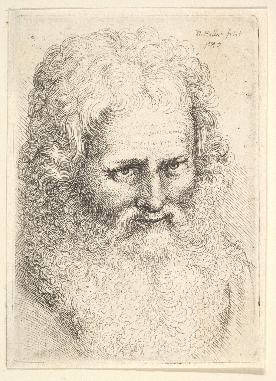 Cabeça de um homem idoso com uma grande barba de Wenceslaus Hollar