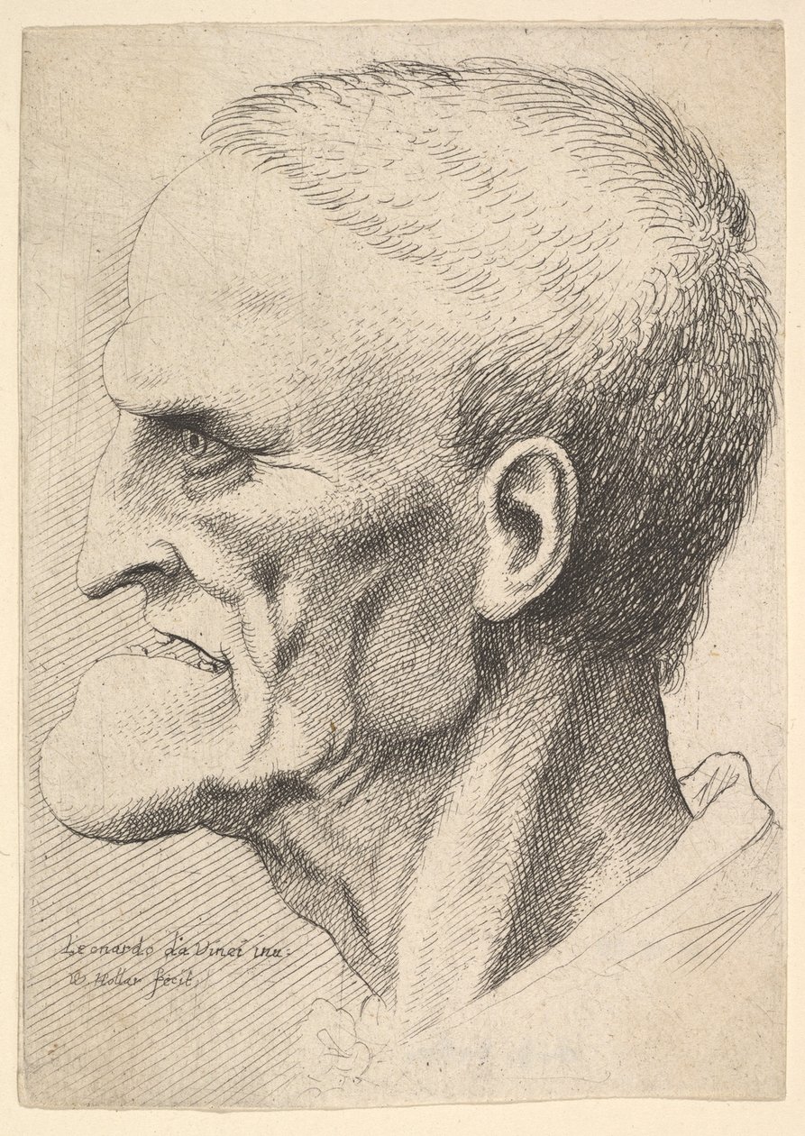 Cabeça de um homem velho com um queixo pronunciado, cabelos curtos cortados e boca aberta mostrando ..., 1625-77. de Wenceslaus Hollar