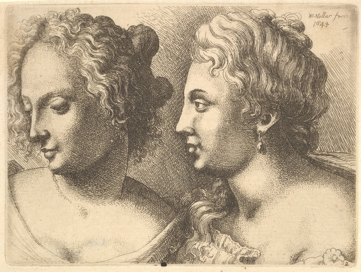 Chefes de duas jovens, 1645. de Wenceslaus Hollar