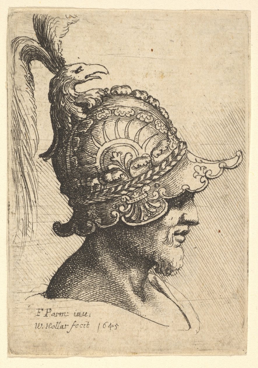 Cabeça protegida com crista principal dos pássaros, 1645. de Wenceslaus Hollar