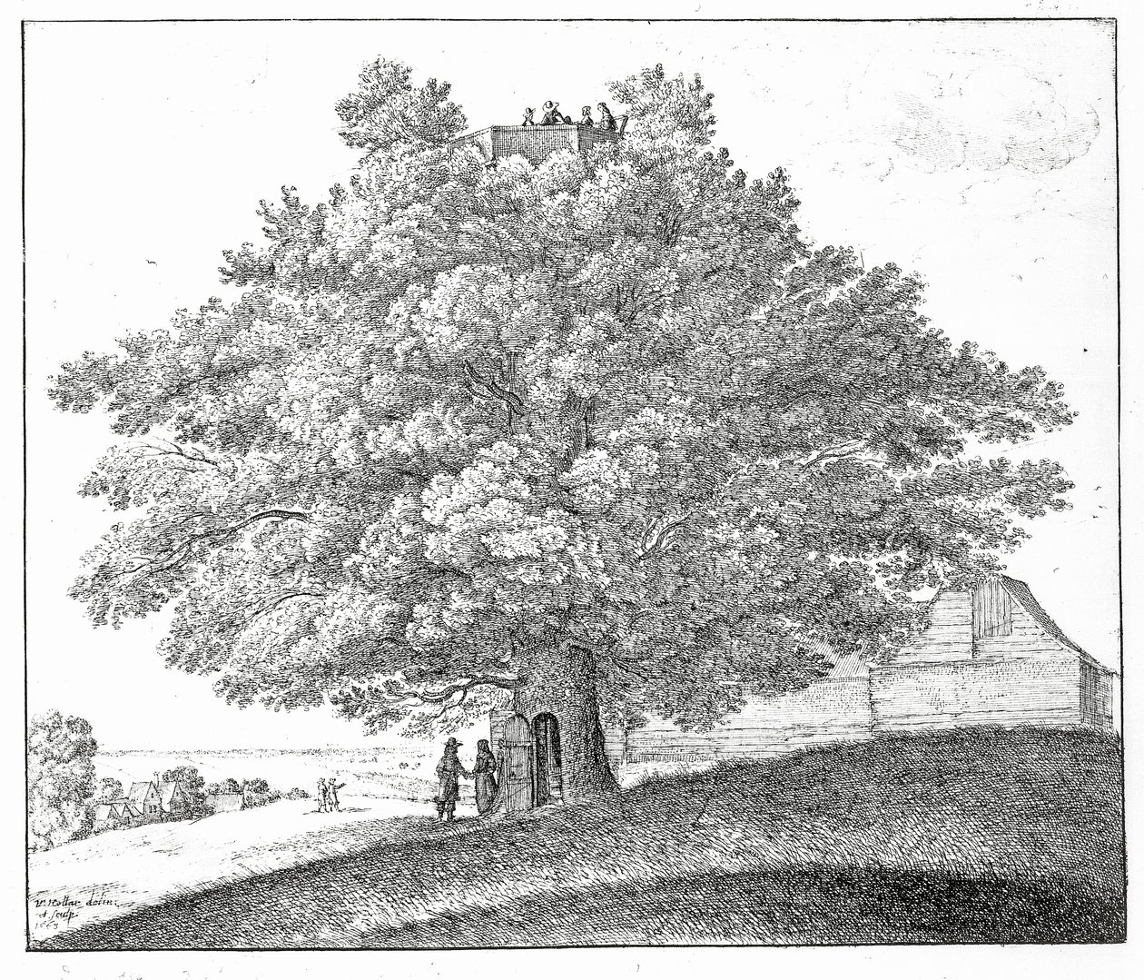 Árvore oca em Hampstead, 1663 de Wenceslaus Hollar