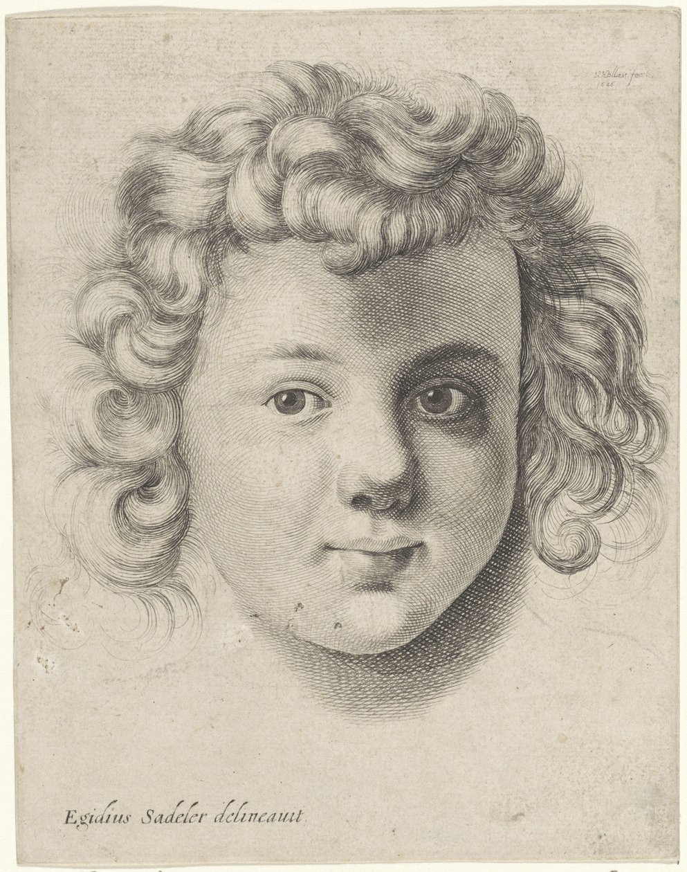 Cabeça de uma criança de Wenceslaus Hollar