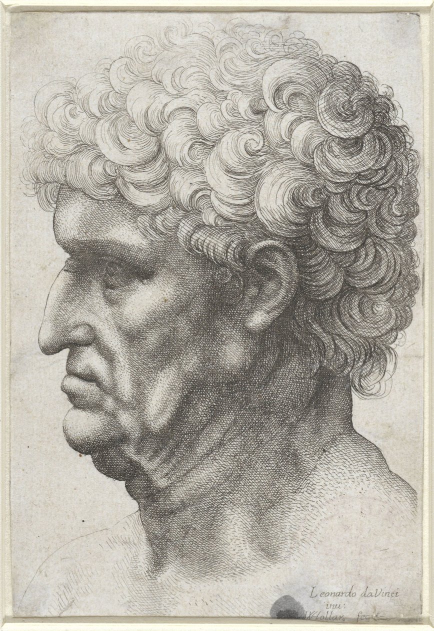 Cabeça de homem com cabelo encaracolado, de perfil de Wenceslaus Hollar