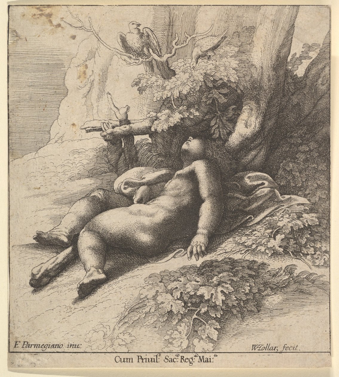 Hércules adormecido, 1625-77. de Wenceslaus Hollar