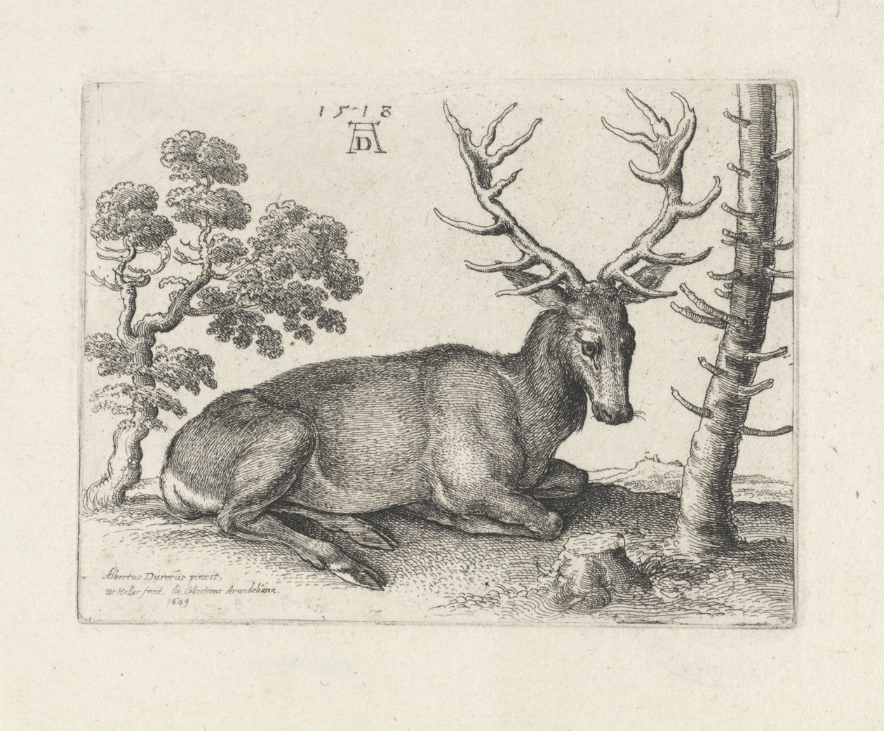 Veado reclinado, à direita de Wenceslaus Hollar