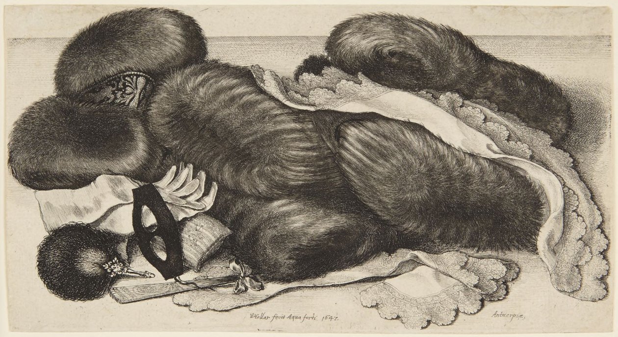 Muflas e adornos de Wenceslaus Hollar