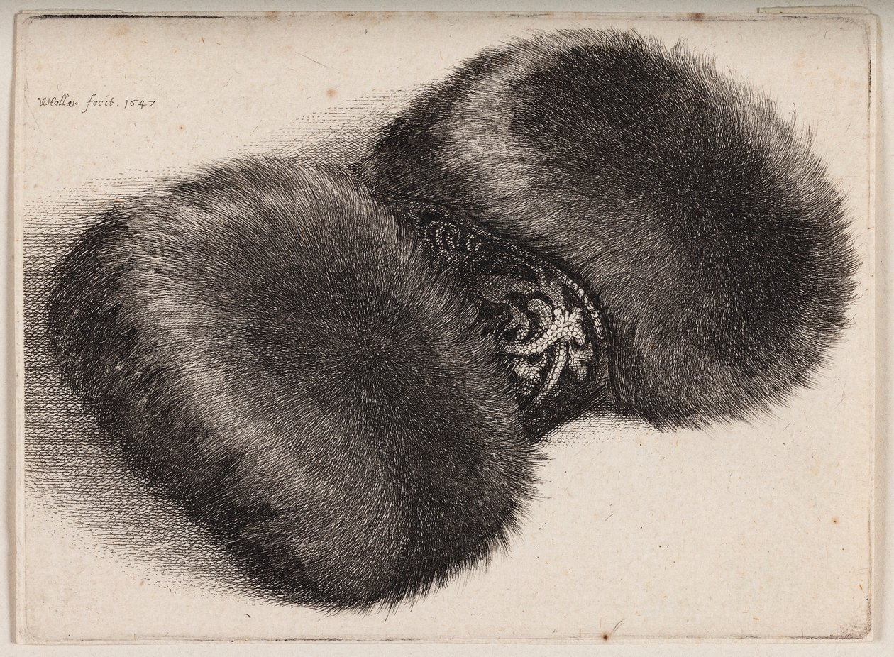 Mufa de pele com uma fita revestida de brocado de Wenceslaus Hollar