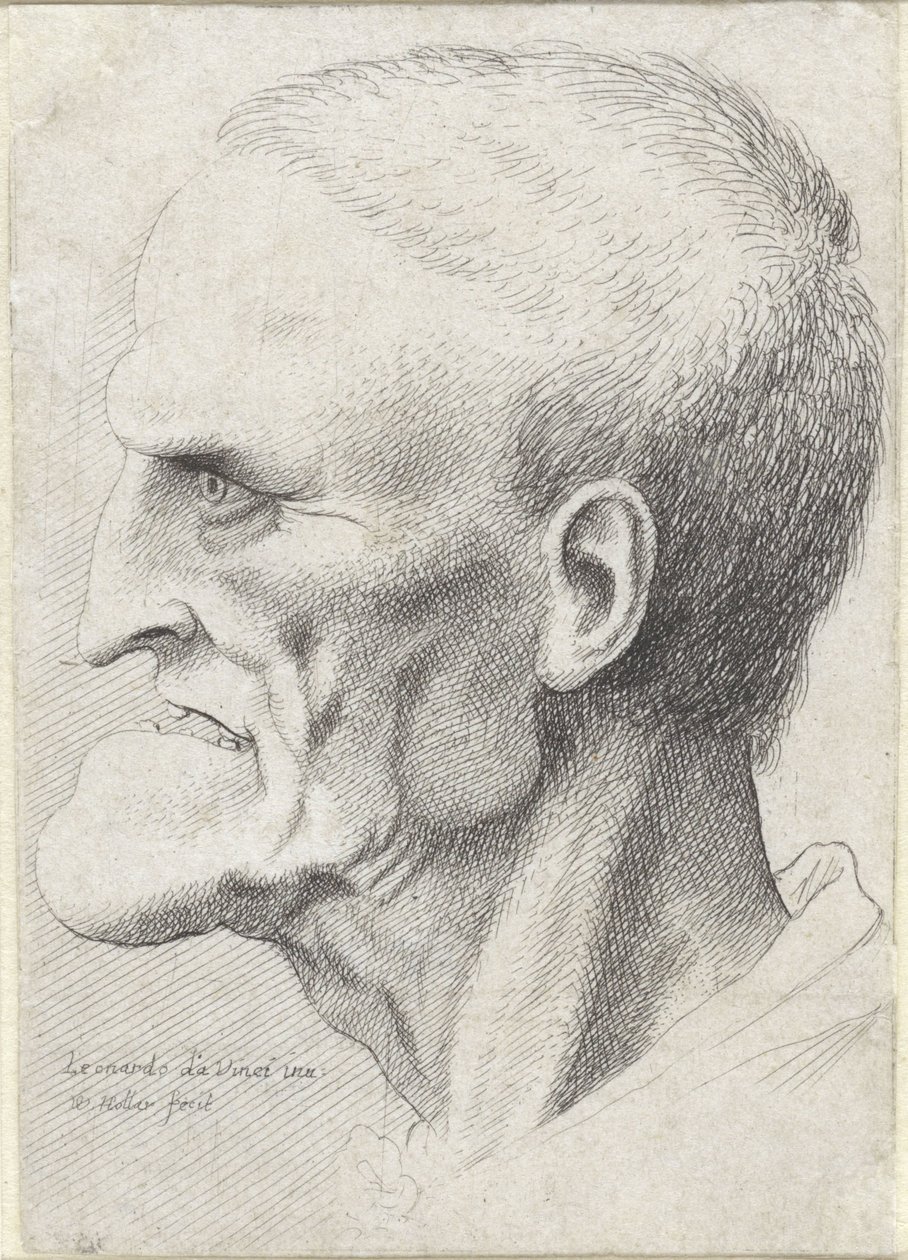 Retrato de um homem velho com queixo pronunciado de Wenceslaus Hollar