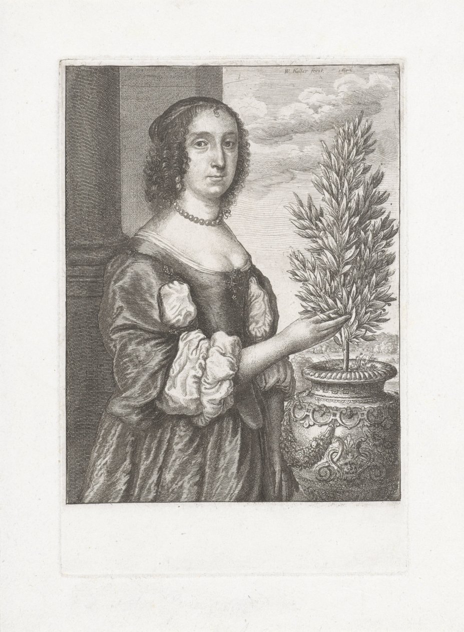 Retrato de uma mulher de pé ao lado de uma planta de loureiro de Wenceslaus Hollar
