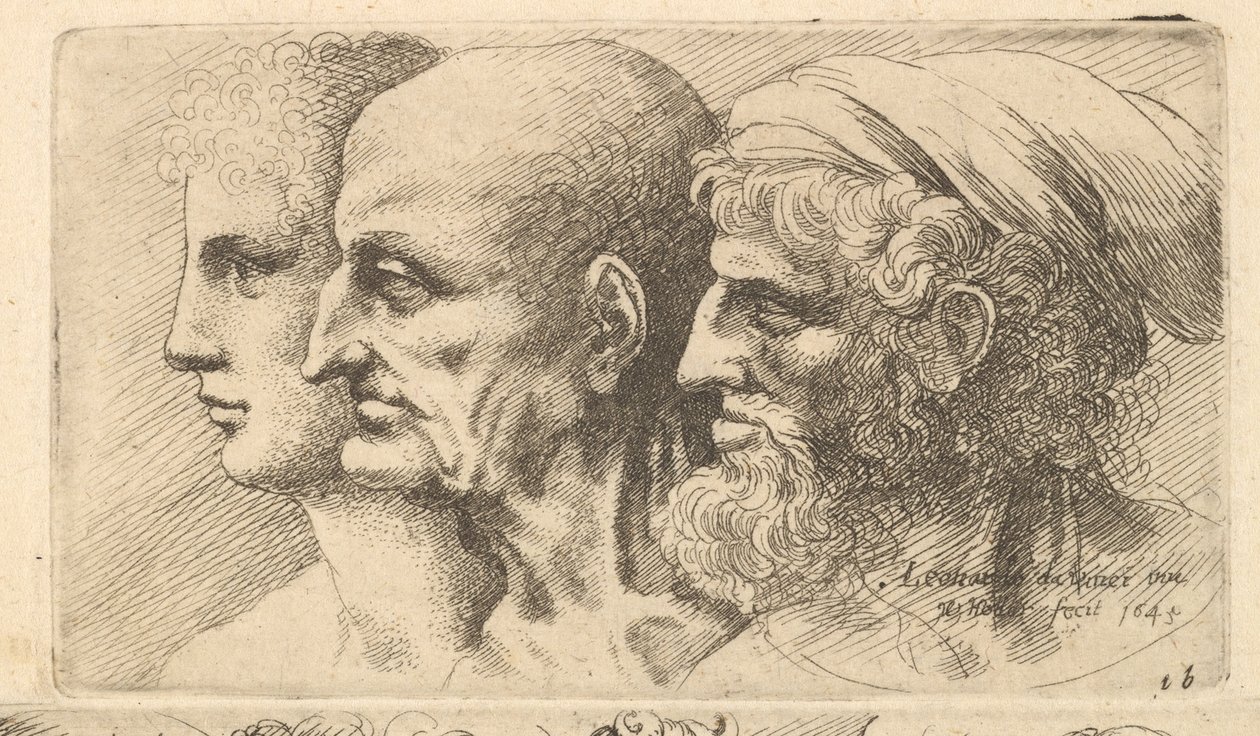 Fileira de três cabeças no perfil à esquerda, 1645. de Wenceslaus Hollar