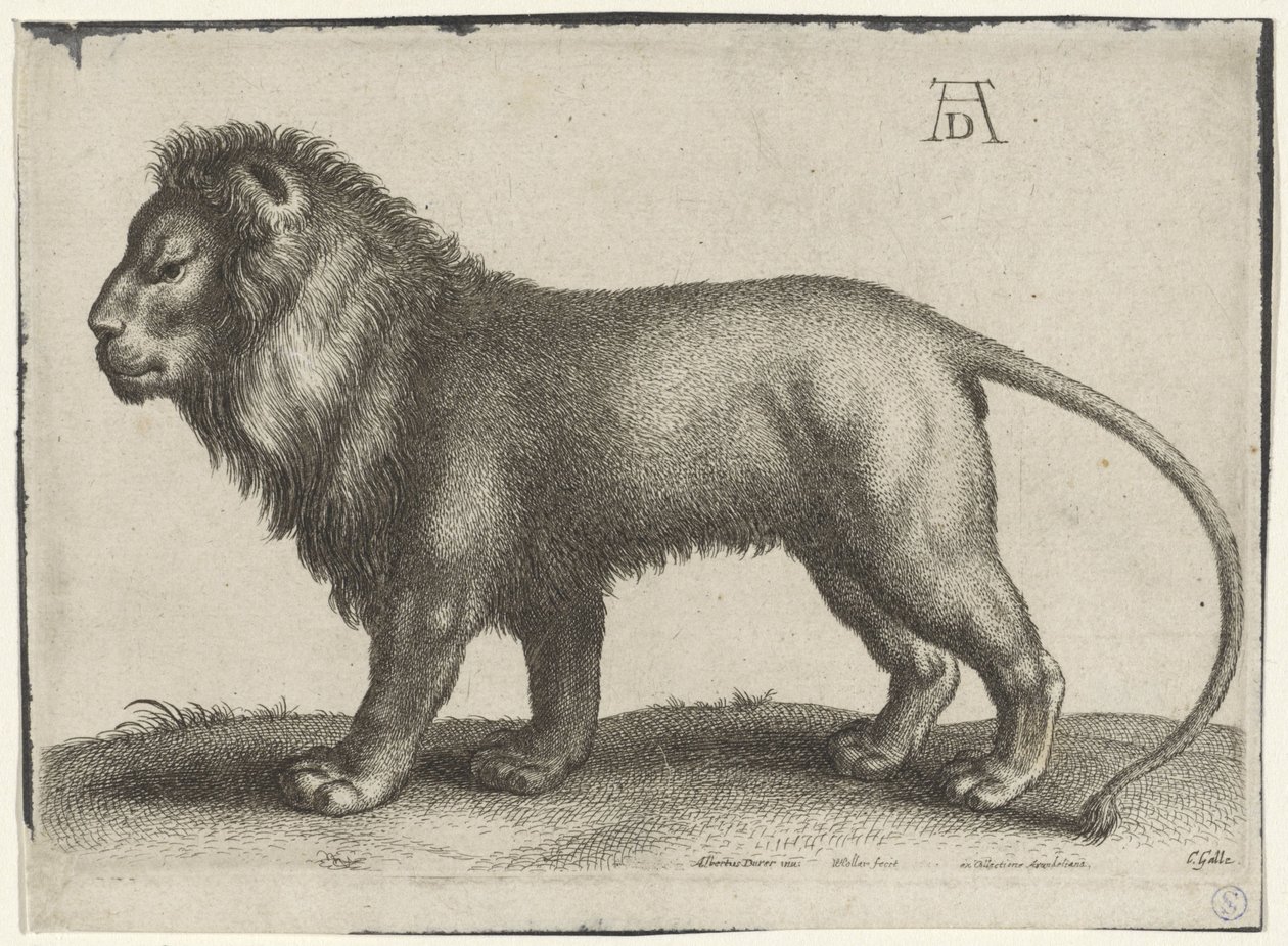 Leão em pé de Wenceslaus Hollar