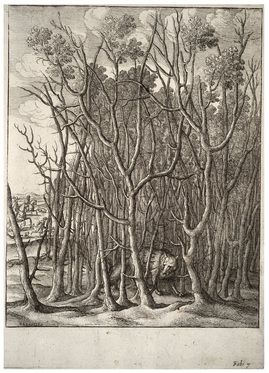 A raposa e o arbusto de espinhos. Estado 2 de Wenceslaus Hollar