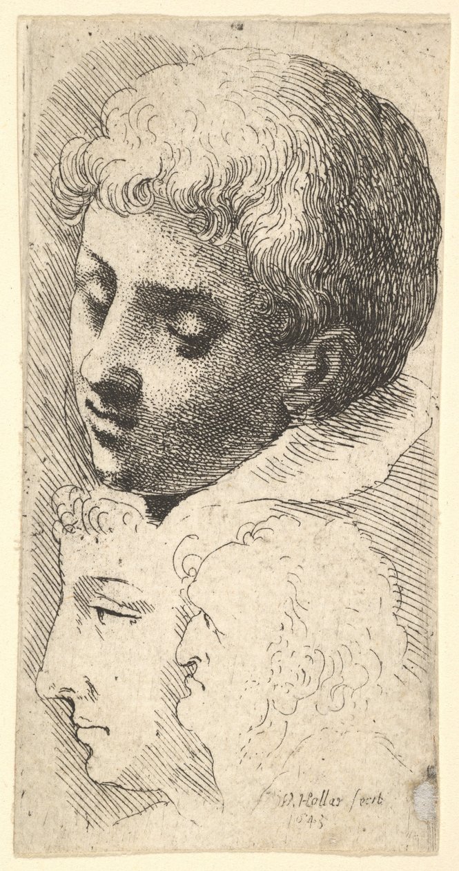 Três cabeças, 1645. de Wenceslaus Hollar