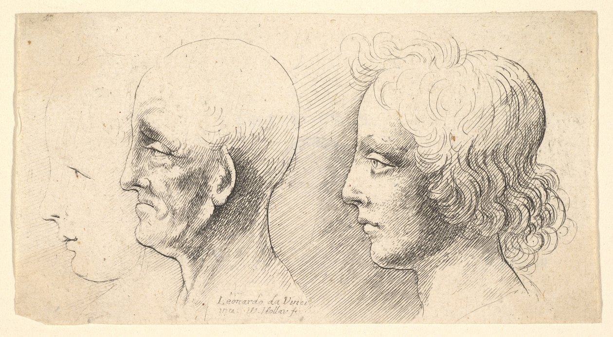 Três cabeças de perfil, uma apenas no esquema, 1625-77. de Wenceslaus Hollar