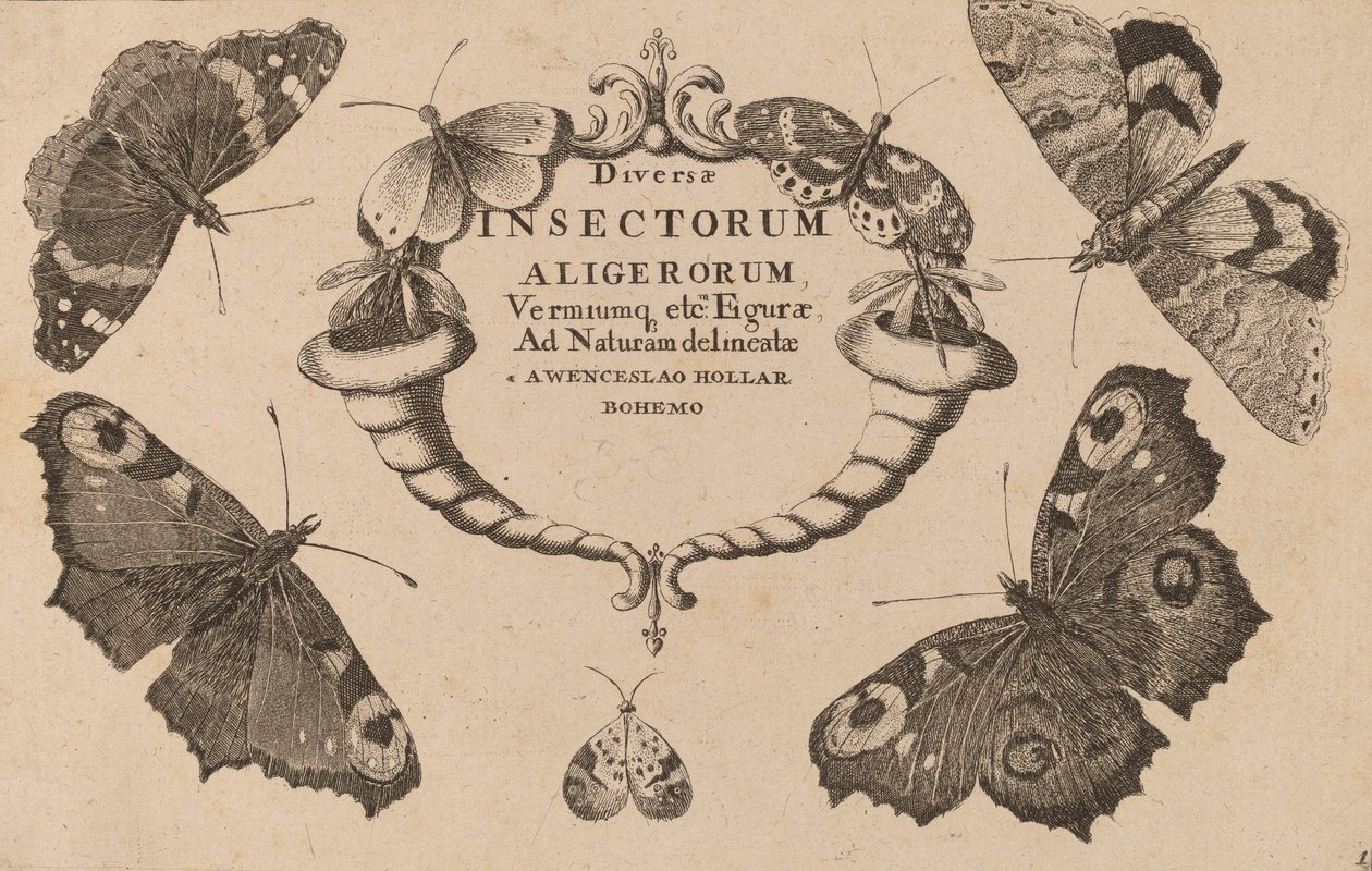 Folha de rosto. de Wenceslaus Hollar
