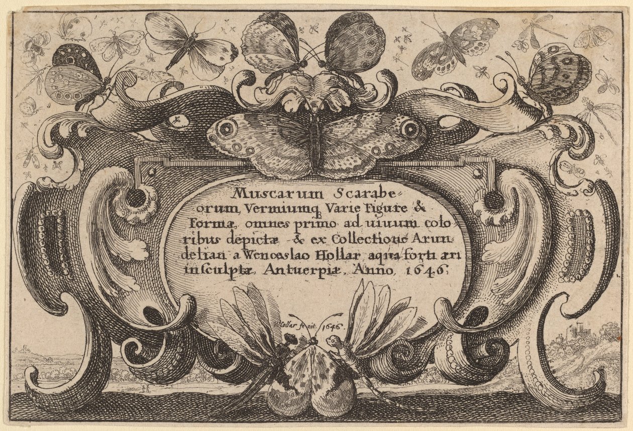Folha de rosto de Wenceslaus Hollar