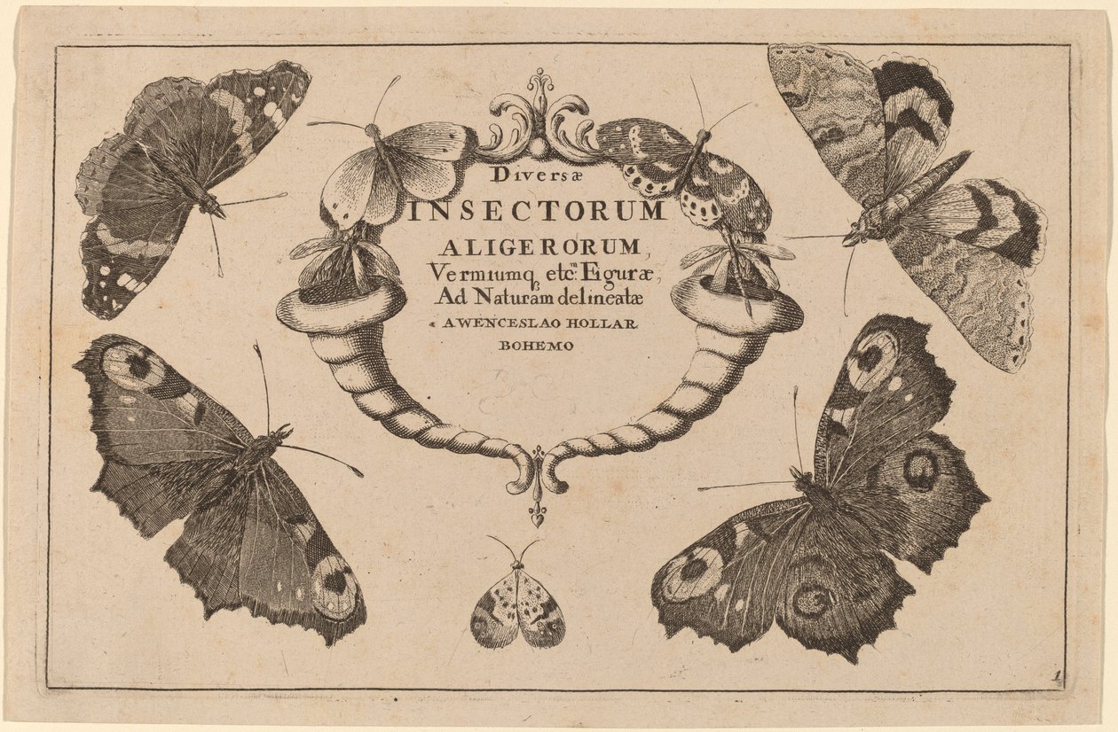 Folha de rosto de Wenceslaus Hollar