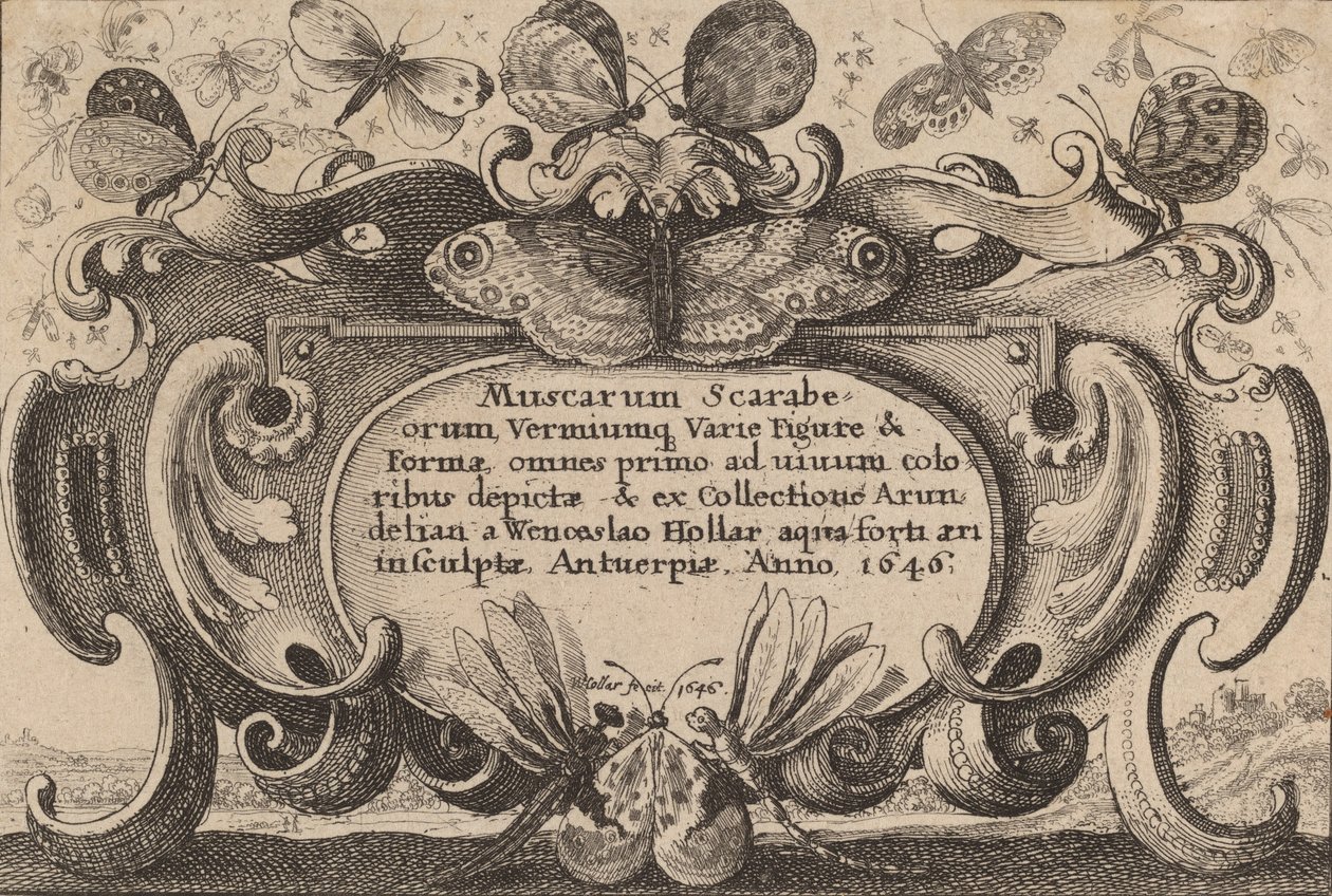 Página de título, 1646. de Wenceslaus Hollar