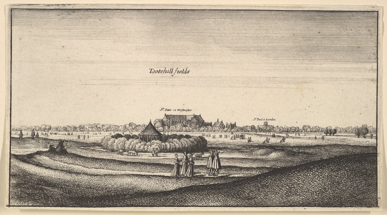 Tootehill coloca vários lugares ... uma perspectiva muito agradável, 1625-77. de Wenceslaus Hollar