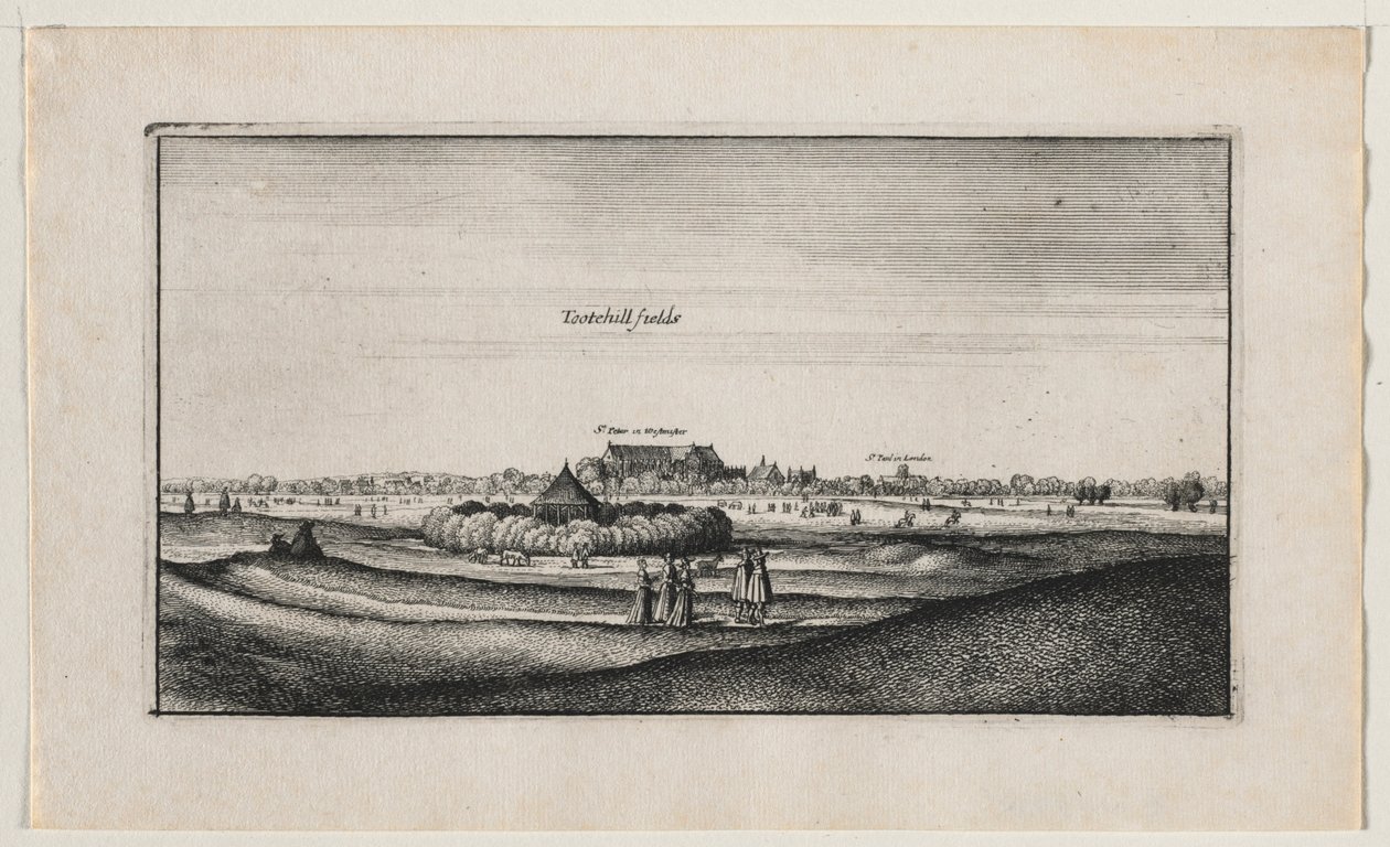 Campos de cultivo. de Wenceslaus Hollar