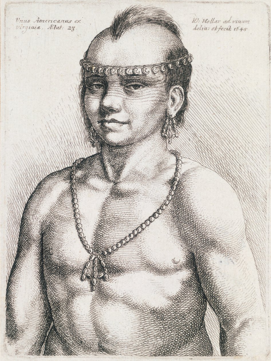 Índio de 23 anos da Virgínia, gravura de Wenceslaus Hollar (1607-1677) de Wenceslaus Hollar