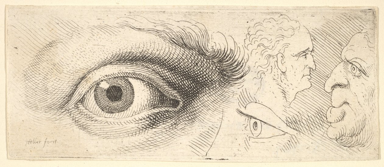 Dois olhos e duas cabeças, 1644-52. de Wenceslaus Hollar
