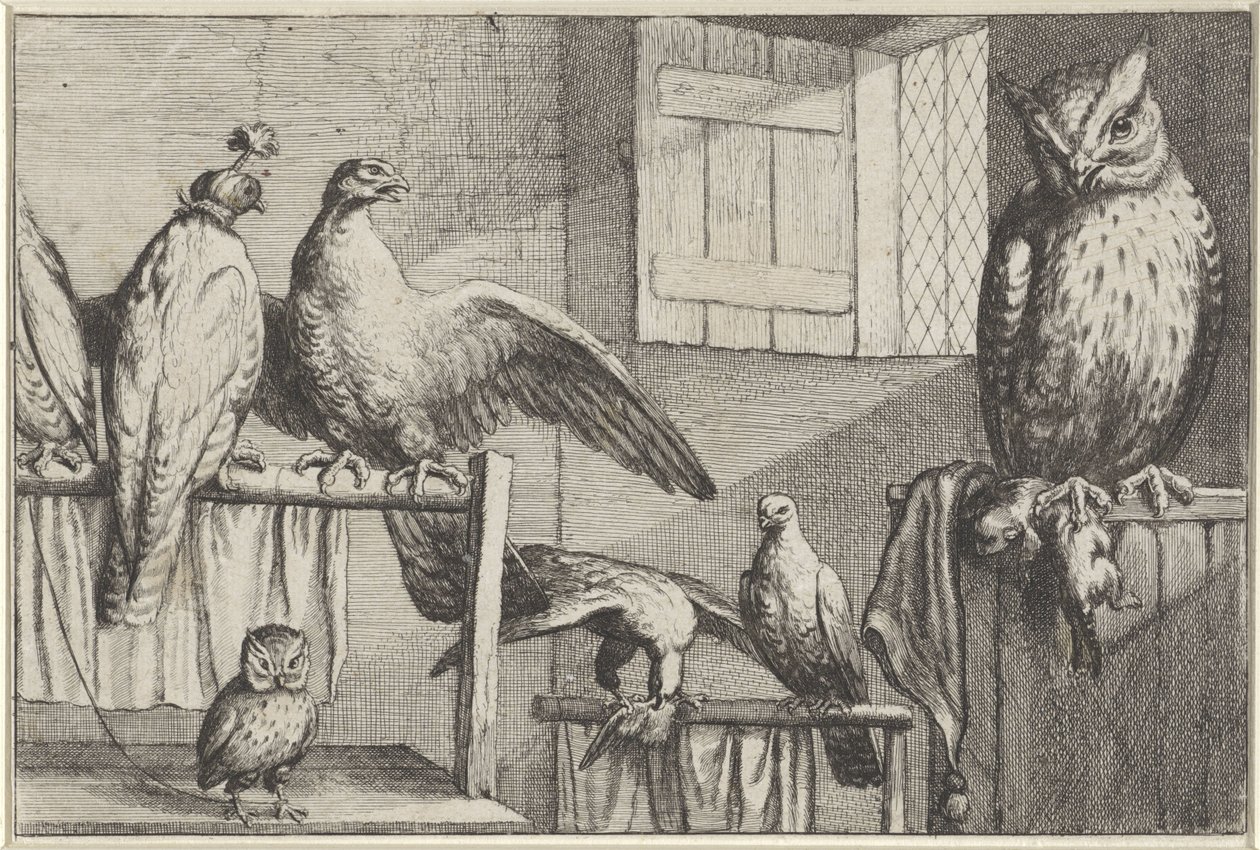 Falcões e corujas em um celeiro Diversae avium espécies (título da série) Pássaros diferentes (título da série) de Wenceslaus Hollar