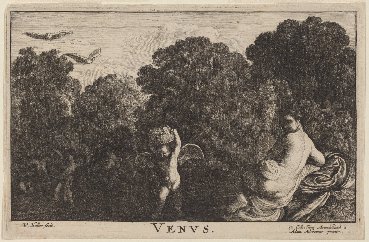 Vênus de Wenceslaus Hollar